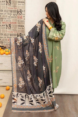 Zara ShahJahan Lawn 3PCS